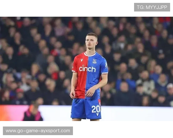 巴莱巴与主帅争执：足球场上的火花与深意