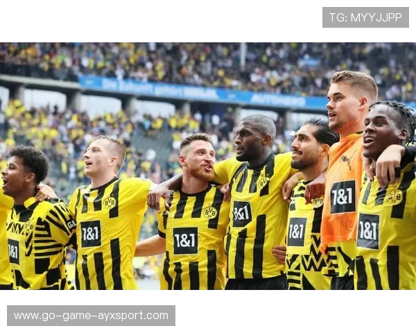 多特蒙德重塑前场体系,霍芬海姆新星加盟迎未来新篇章