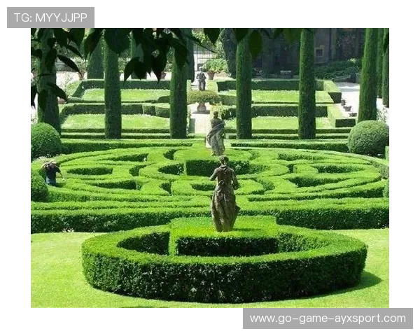 罗马拟在城市周边建立青训学院吸引区域人才