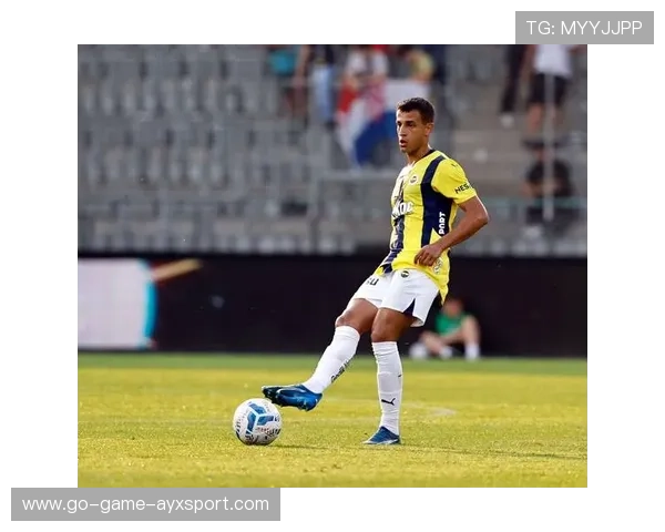 那不勒斯连续两轮零封对手展现防守实力:解码球队防线的稳定之道 那不勒斯连续两轮零封对手展现防守实力:解码球队防线的稳定之道